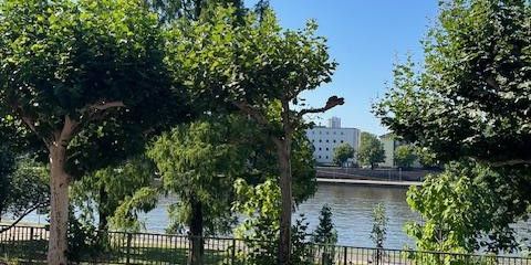 Mainblick