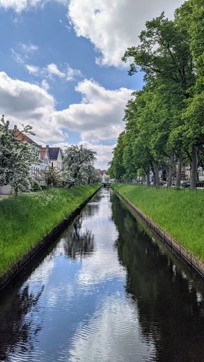 Blick nach vorne