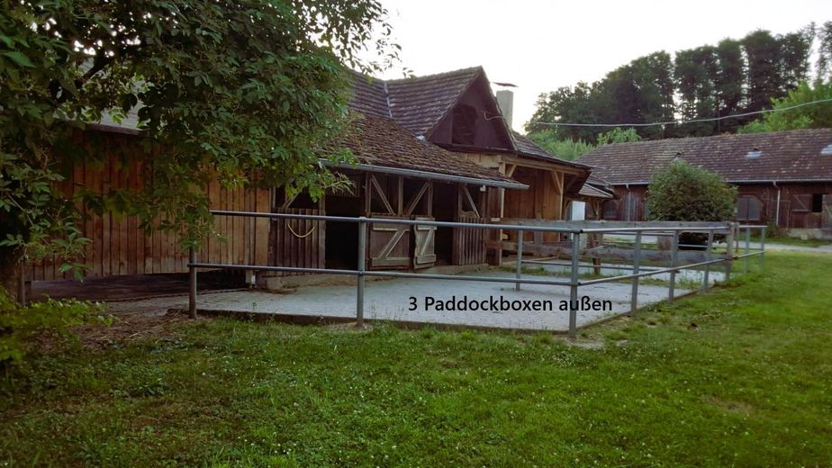 Paddocks am "Schulstall"
