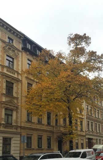 Fassade