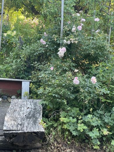 Freizeit Grundstück – Foto 9