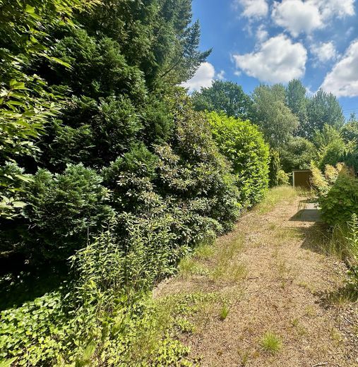 Attraktives Baugrundstück in Ellerbek (Moordamm) – ruhige Lage, gute Anbindung! – Foto 4