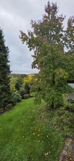 Balkonblick Ri. Nord-Osten