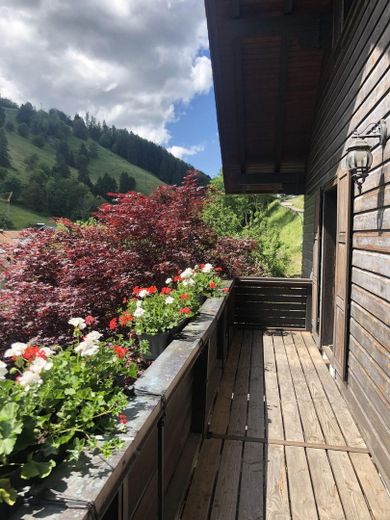 Balkon nach Süden 