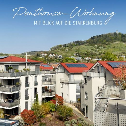 ATIK: Exklusives, lichtdurchflutetes Penthouse mit Charme in Heppenheim – Ausblick