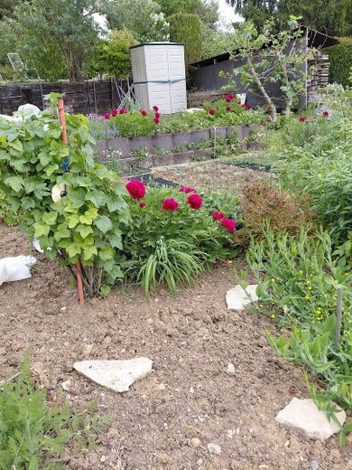Stadtnahe, idyllische Terassen/Gartenwohnung in ruhiger Weinberglage – Beete