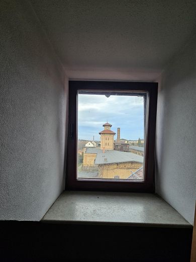 Grünes Leben im Denkmal – Foto 7