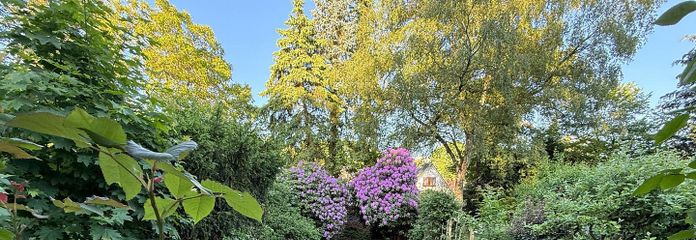 Wunderschöner Garten