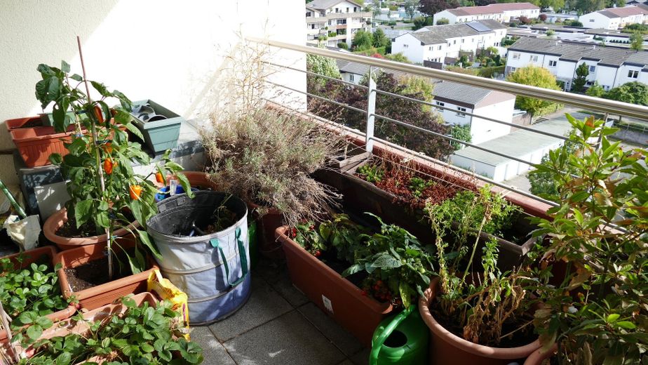 Balkon in voller Blüte