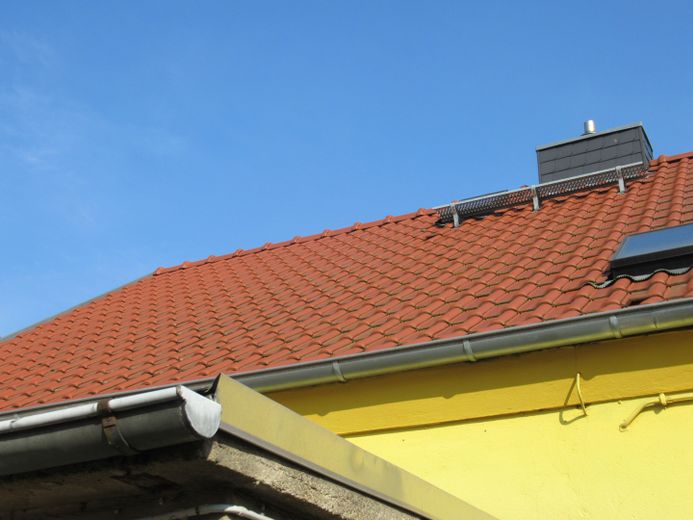 2 Häuser auf einem Grundstück Zentrum EFH Gewerbe 5 Garagen Halle privat – Dach Vorderhaus