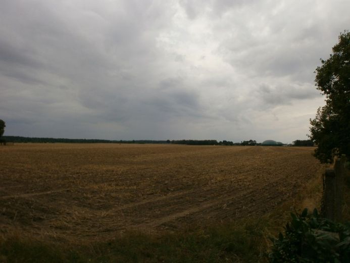 Wegen Auswanderung: 2.270m2 Bau-Grundstück bei Greifswald / Ostsee – Grundstücksansicht 3