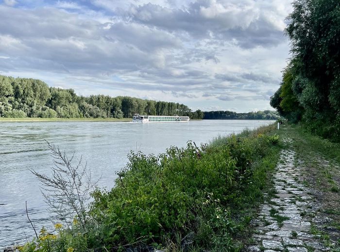 Rhein bei Hördt