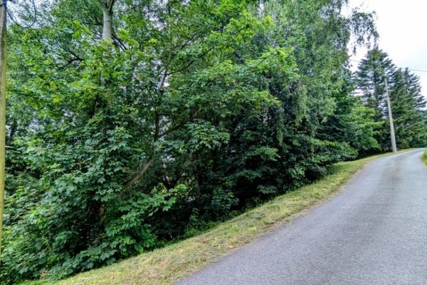 Grundstück für EFH oder Ferienhausvermietung in Langenhennersdorf