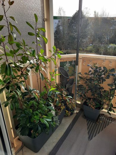 Nachmieter gesucht für 3 Raumwohnung mit Balkon – Foto 2