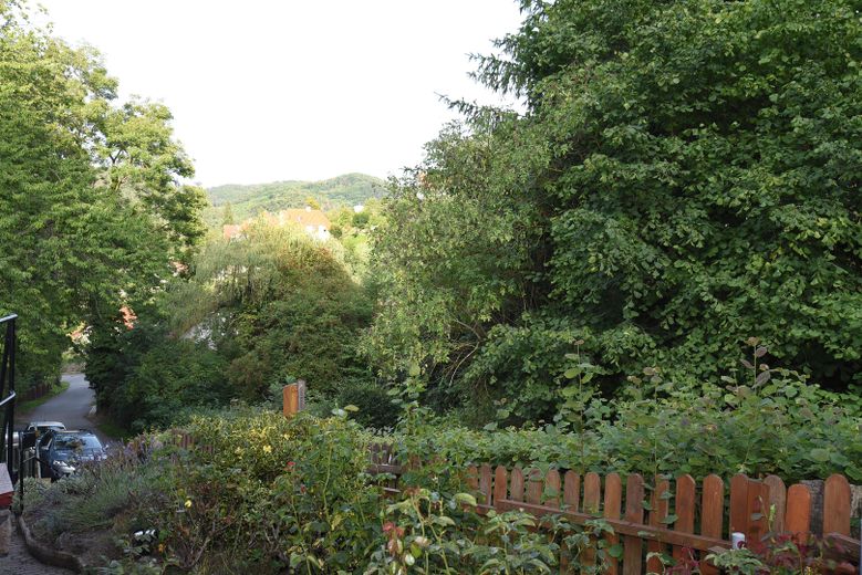 Mały dom jednorodzinny w stylu bungalow – Naturb. von d. Terrasse  