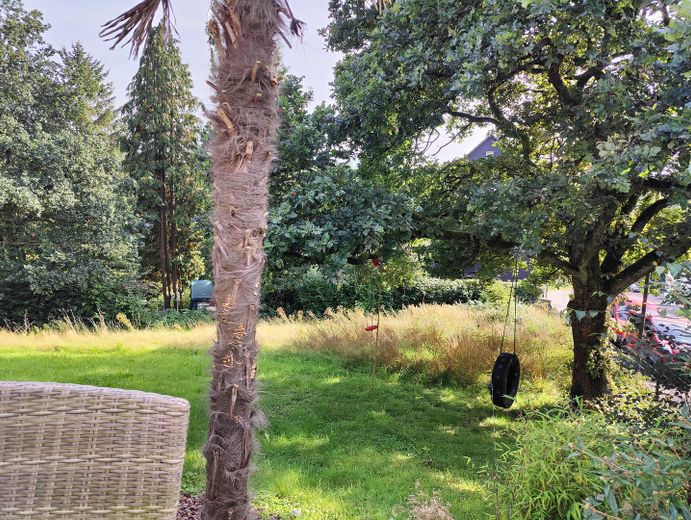 Dreifamilienhaus im Grünen mit großem Grundstück – Foto 16
