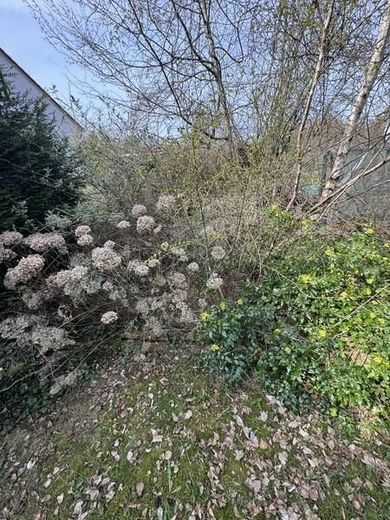 Beste Wohnlage - ruhig mitten im Wald und doch Großstadtnah - hier kann man sich ein Heim bauen! – 00005