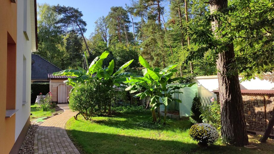 Garten