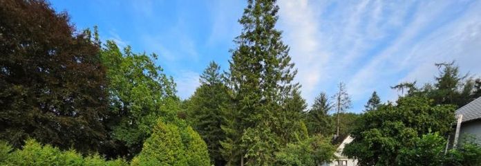 Terreno con costruzione esistente in Saselbekstraße