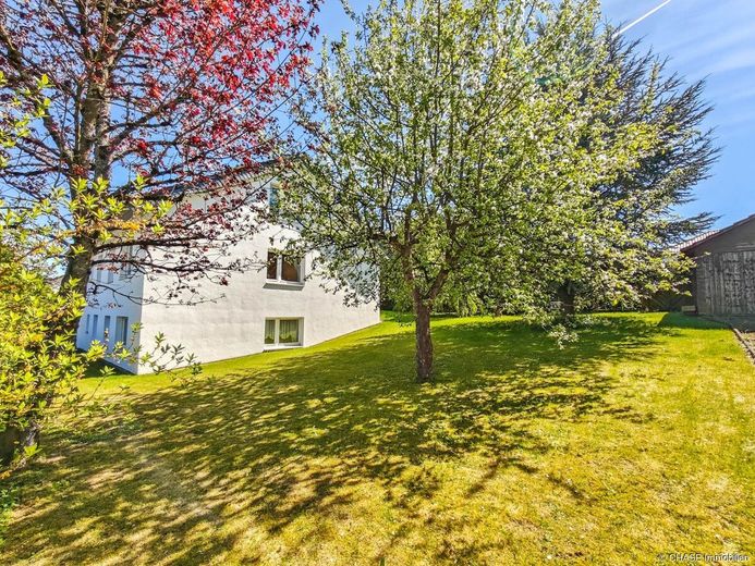 Großzügiges Einfamilienhaus mit Einliegerwohnung - TOP-Familienleben auf dem Hagen bei Bad Pyrmont! – Gartenansicht 3
