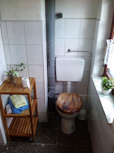 Wirtschaftsraum Toilette