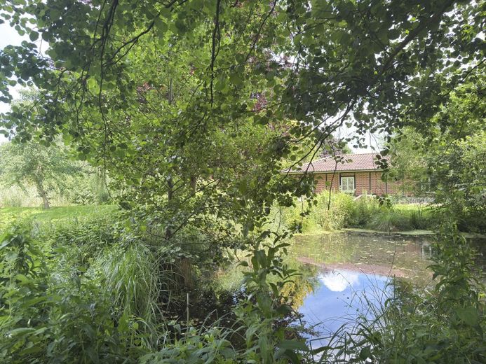 Garten mit Teichen