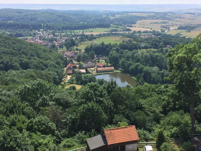 Idyllische Villa/Mehrfamilienhaus in grünem Erholungsort (Harz) - mit Ausbau-/Investmentpotential – Blick auf Nachbarort Neustadt
