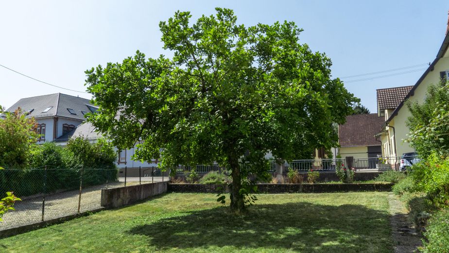 Ek yapılaşma imkânına sahip geniş arsada villa tarzı müstakil ev – Kleiner vorderer Garten