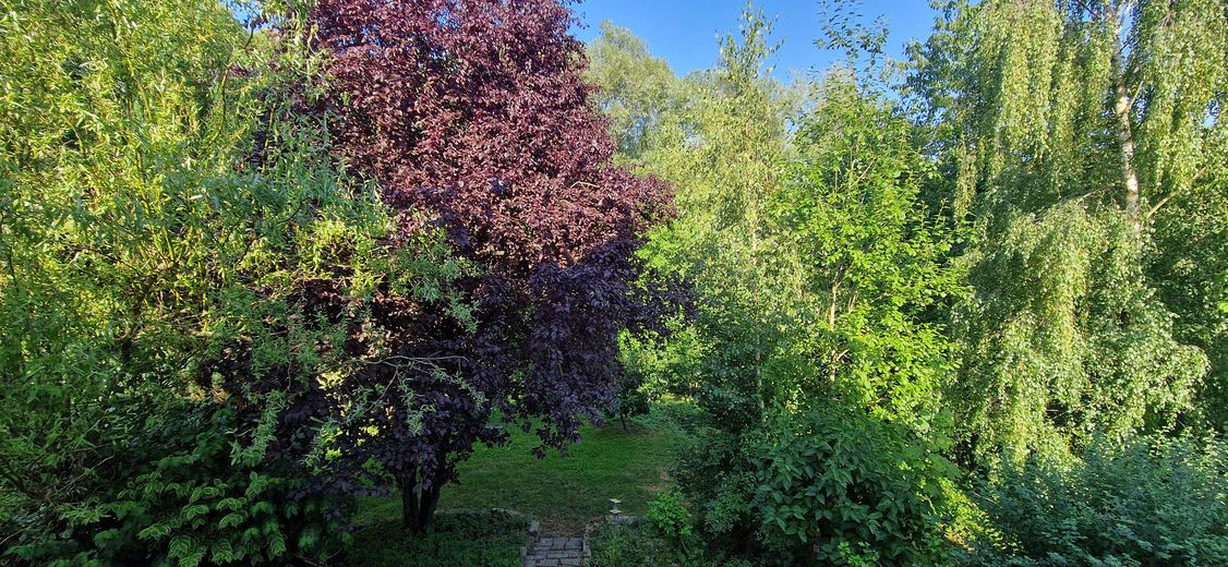 EFH / großer Hausteil mit EBK, Kamin, 2 Terrassen und traumhaftem Garten in direkter Seenähe 🌊 – Blick aus dem Schlafzimmer
