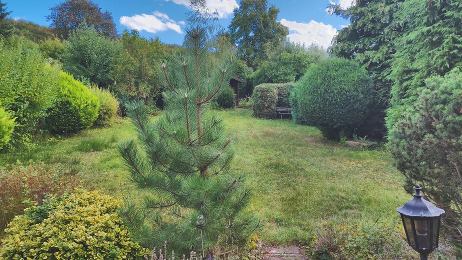Charming detached house with a large garden in a quiet location on the edge of the forest (Wieterwald) – Garten