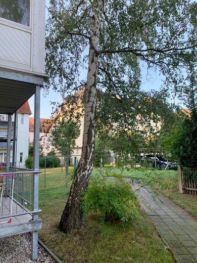 Lutherstraße: 2-Zimmer-Wohnung mit toller Küche, Parkett und Balkon – Garten