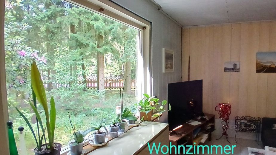 Casa nel bosco vicino a Bienenbüttel su terreno di proprietà – Photo 13