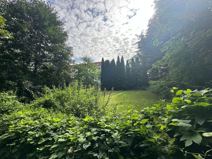 Exclusief bouwperceel in geheel of deelvlakken! Geen makelaarscourtage – 3