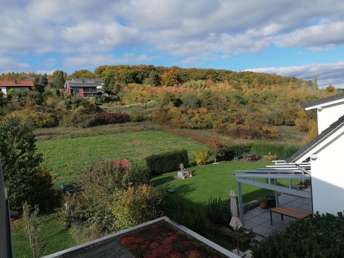 Blick Richtung Waldrand