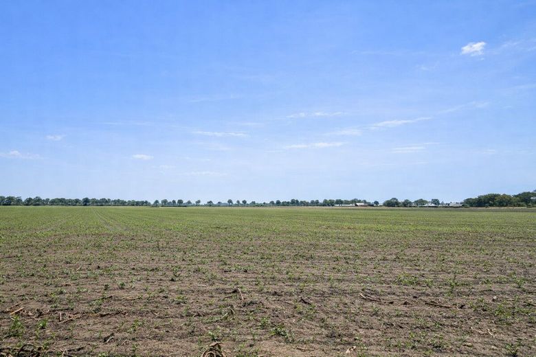 Natur pur in absoluter Alleinlage - 1.002 m² Grundstück mit Bestandsgebäude in Schifftdorf-Bramel – Weide hinter dem Haus