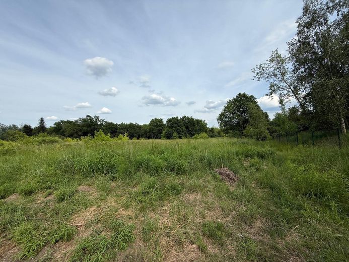MAKLERFREI Projektstart sofort möglich: ca. 7.000 m² Gewerbegrundstück mit erteilter Baugenehmigung – Foto 17