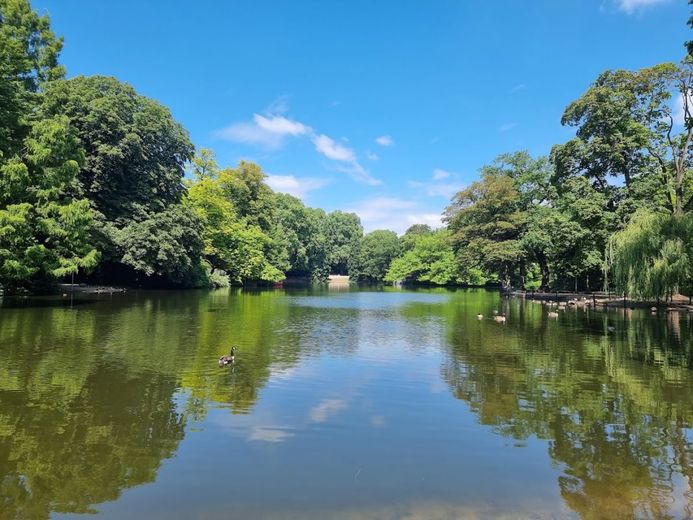 Neustadt-Süd - Citywohnung am Volksgarten - modernisiert - – Volksgarten See