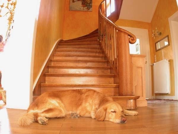 Flur Treppe
