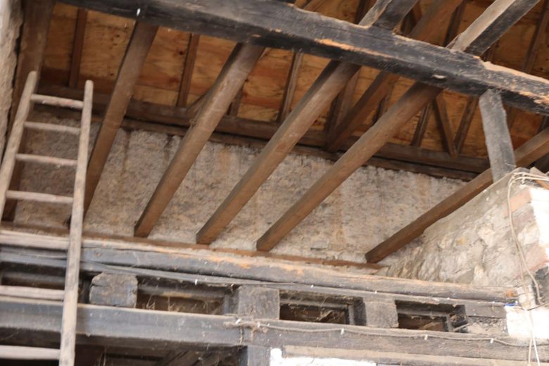 Sanierungsprojekt mit Geschichte: Raum für Ihre Wohnträume & Werkstatt in 67591 Wachenheim – Foto 22