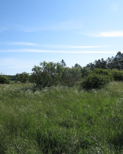 eines der letzten, erhaltenen SCHEUNENGUTSHÄUSER (mit 4-6 ha. Naturgrundstück) – ...alles eigenes Naturareal!