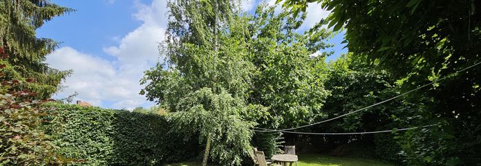 Verkaufe ruhiges Baugrundstück in Lichtenrade – Blick nach Osten