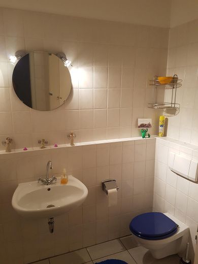 3 Apartments einzeln oder zusammen als Wohnung, TG, Stellplatz, dazu Garten mietbar – Bad Süd