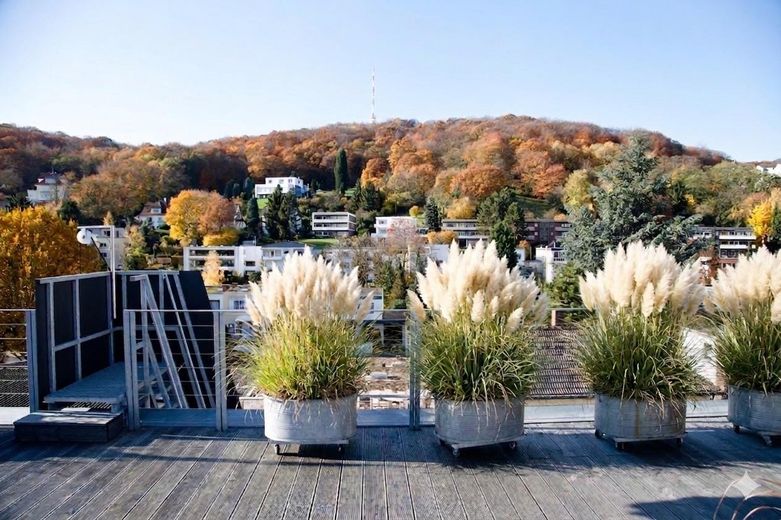 modernes Stadthaus (WEG), zentral, ruhig, unverbaubare Venusberg Aussicht, A+ – oberste Dachterrasse