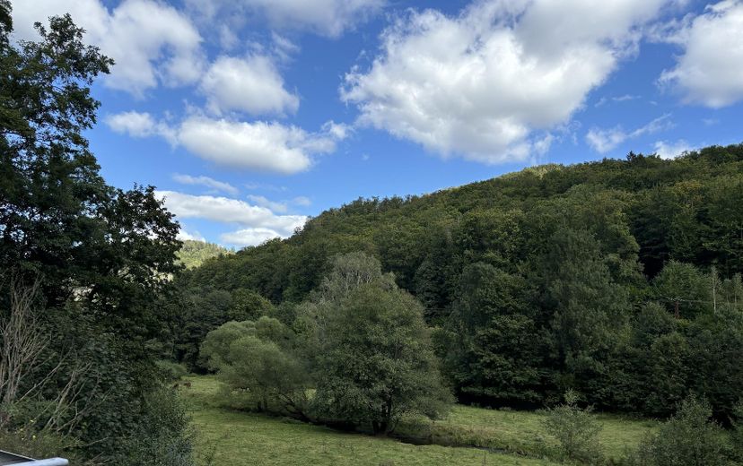 Idyllische Villa/Mehrfamilienhaus in grünem Erholungsort (Harz) - mit Ausbau-/Investmentpotential – Harztal mit Fluss Bere