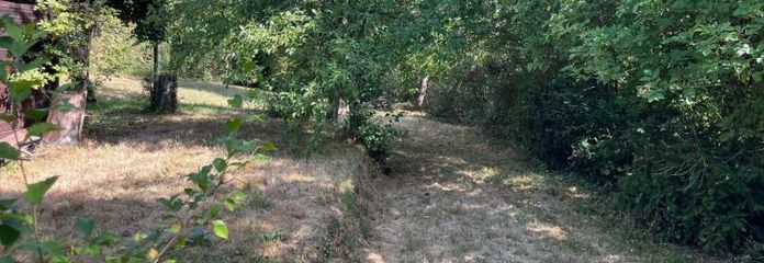 Aidlingen: Ampio terreno per giardino/tempo libero