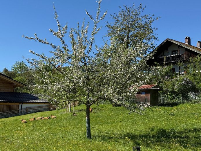 1,5 Zimmer Wohnung mit schöner privater Terrasse, Schwimmbad und Sauna – Idylle  1 Gehminute entfernt 