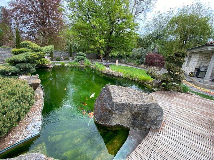 Traumgarten mit Schwimmteich
