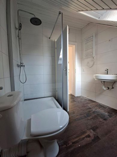 EERSTE BEWONING NA RENOVATIE AAN DE MAIN | Twee bijzondere woningen met aparte ingangen – Bad 3