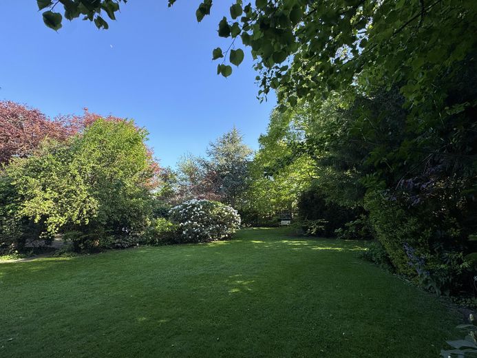Garten 2
