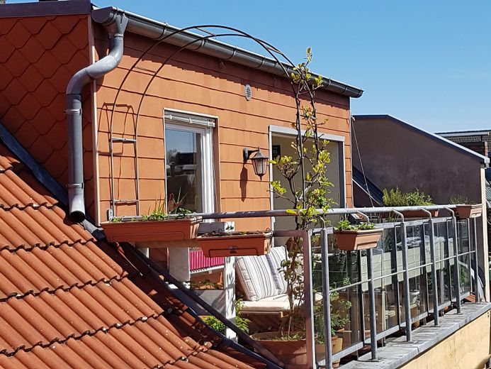 Große Dachgeschosswohnung im ruhigen Gartenhaus mit Terrasse–mitten im Samariterkiez/Friedrichshain – Terasse-Südseite